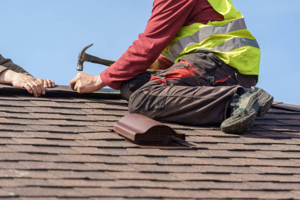 Best Roof Gutter Cleaning  in Springdale, NC