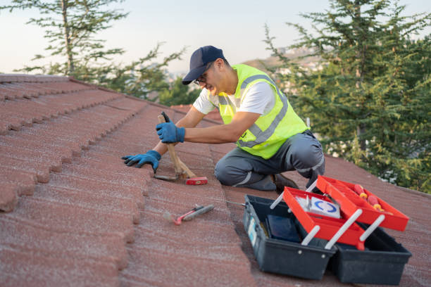 Best Flat Roof Repair Services  in Springdale, NC
